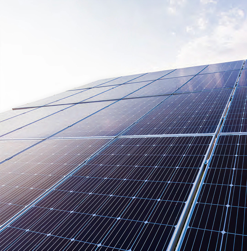 Environmental Stewardship